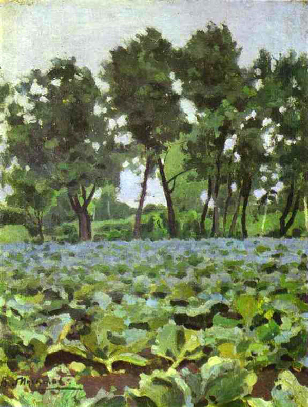 cabbage field